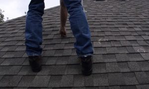 Kitchener Affordable Roofing worker doing a roof inspection
